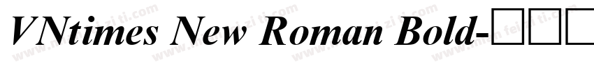 VNtimes New Roman Bold字体转换